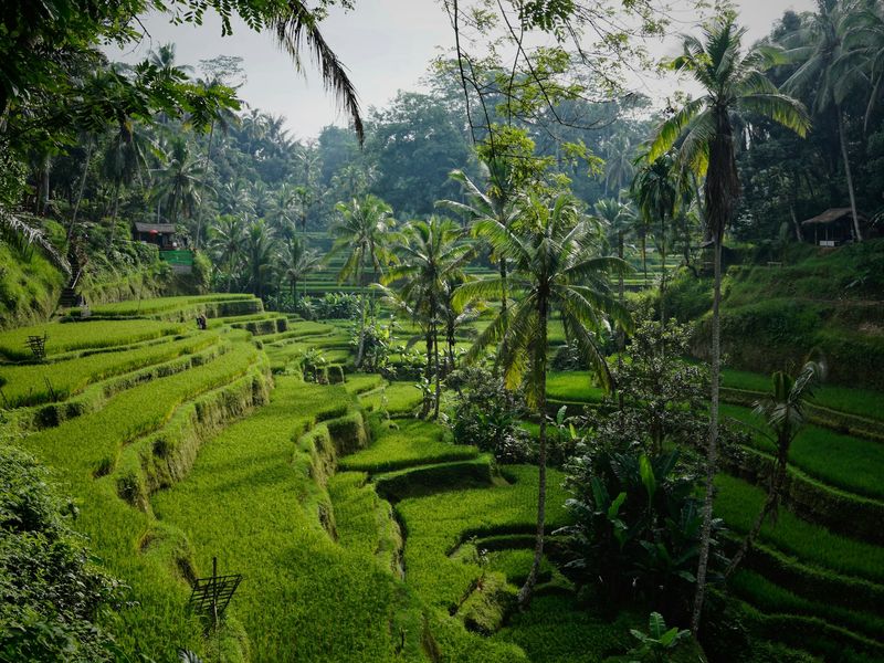 Southeast Asia